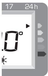 THERMOR EMOTION DIGITAL - DE FUNCTIE 'VERBRUIKSWIJZER' - 1