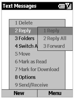 ORANGE SPV C550 - Using Messaging menu options - 1
