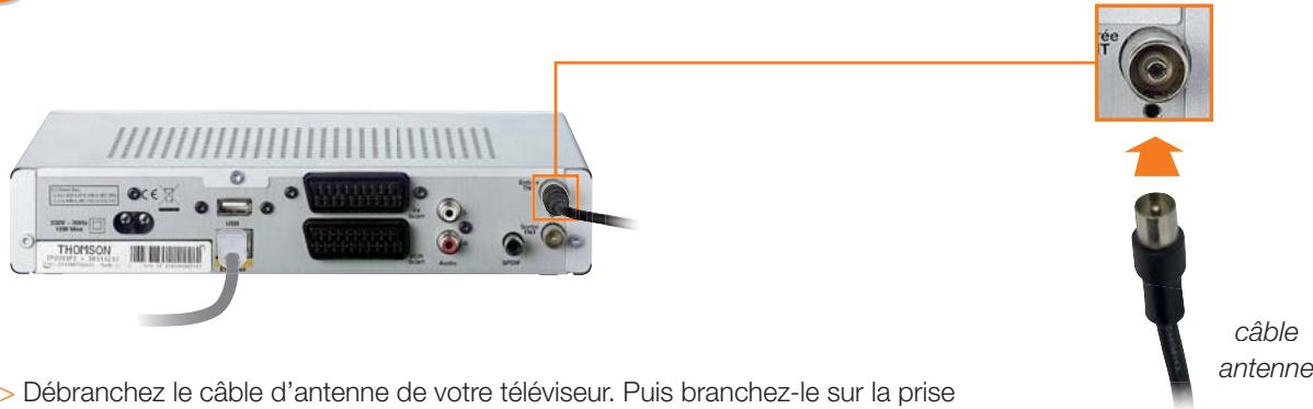 ORANGE TV ISD 82 - Branchements - 16