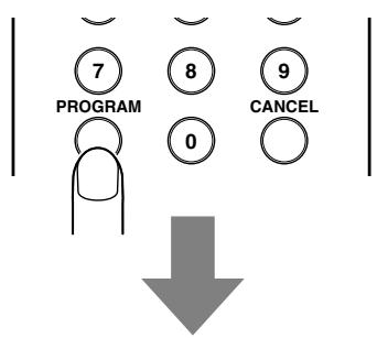 MARANTZ CD5001 - - Program play in the text display mode - 2