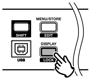 MARANTZ PMD560 - Display - 1