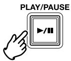 MARANTZ PMD560 - Playback Procedure - 2