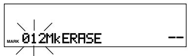 MARANTZ PMD570 - TrkMkERASE - 4