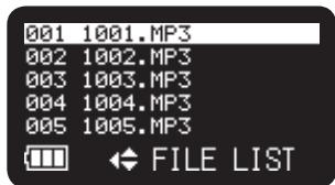 MARANTZ PMD620 - Access from File List - 3