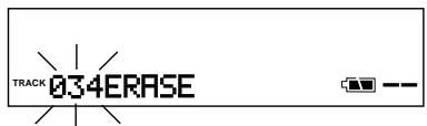 TRACK 034ERASE