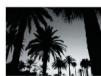 MARANTZ DV4001P - Utilisez les boutons / pour sélectionner une des fonctions suivantes puis appuyez sur ENTER. - 3