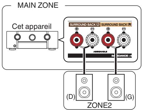 MARANTZ SR6010 - Connexion 2: connexion via les bornes de sortie des enceintes - 1