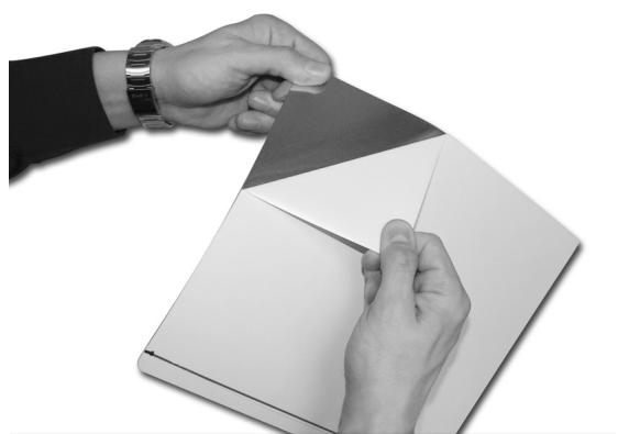 TNB SKINS DECO SKNBG2 - SKINS DECO - 4