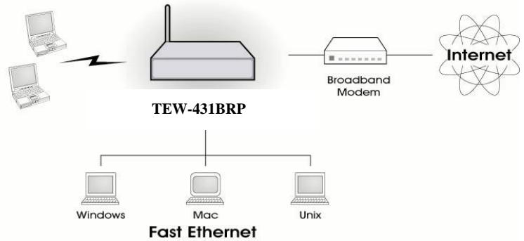 TRENDNET TEW-431BRP - Introduction - 1
