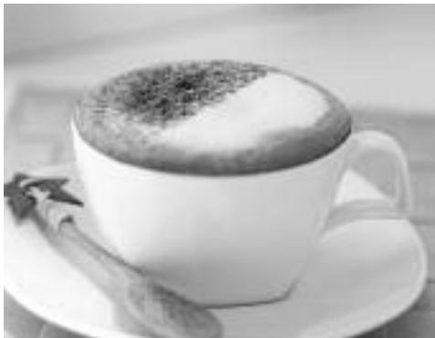 BREVILLE 800ESXL - Café LATTE classique - 1