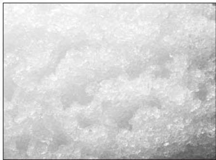 BREVILLE BBL550XL - Ice making capabilities of your Breville Hemisphere Blender - 2