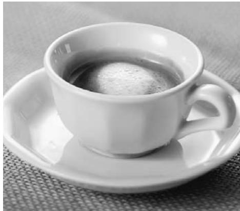 BREVILLE BES820XL - CAPPUCCINO - 1