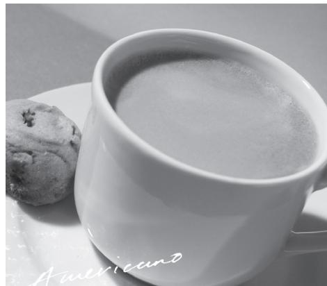BREVILLE BES830XL - ESPRESSO - 1