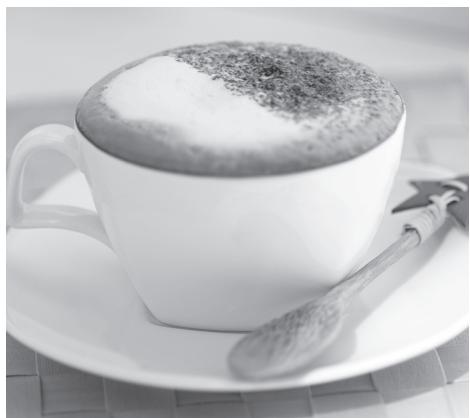 BREVILLE BES830XL - CLASSIC CAFE LATTÉ - 1