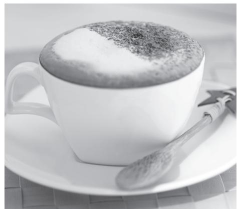 BREVILLE DIE-CAST PROGRAMMABLE ESPRESSO MACHINE - Espressos variés (suite) - 2