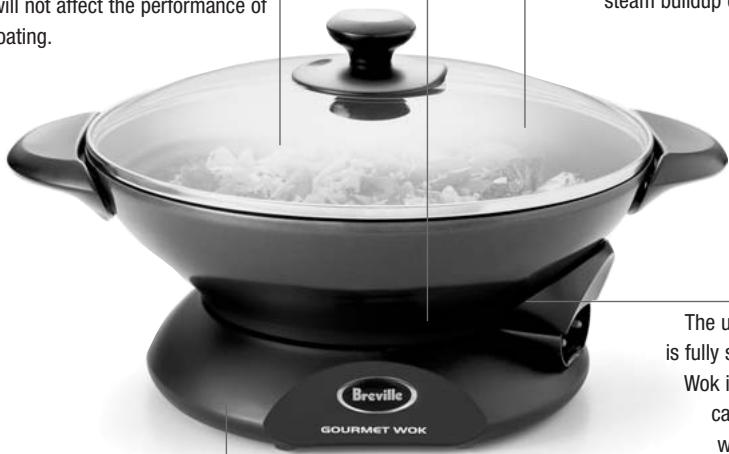 BREVILLE EW30XL - SAVE THESE INSTRUCTIONS - 1