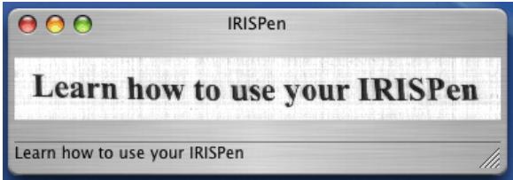 IRIS PEN EXECUTIVE 6-MAC - The Scan window - 2
