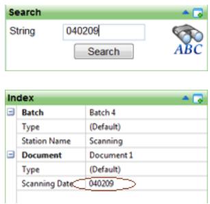 IRIS POWERSCAN 9.0 - Panes - 4