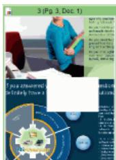 IRIS POWERSCAN 9.0 - To erase an image zone: - 1