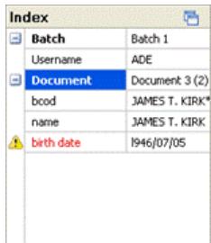 IRIS POWERSCAN 9.0 - INDEX VALIDATION - 1