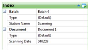 IRIS POWERSCAN 9.0 - Panes - 3