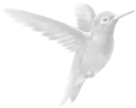 CIEL ASSOCIATION - Environnement - 1