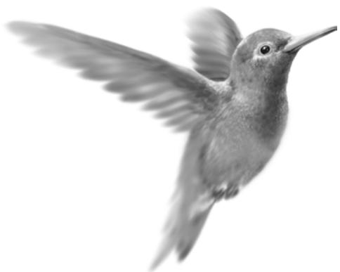 CIEL E-COMMERCE - Impression d'un fichier - 1