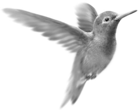 CIEL E-COMMERCE - Attention! - 1