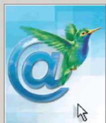 CIEL E-COMMERCE - Fiche de contact - 1