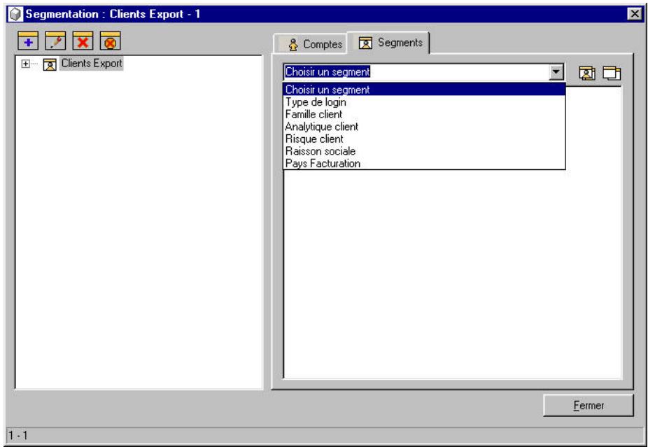 CIEL E-COMMERCE - Sous-onglet segments - 1