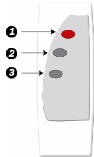 PUR LINE VP-40 - Version mecanique VP40 - 2
