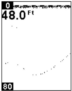 EAGLE CUDA 168 - SENSITIVITY - 4