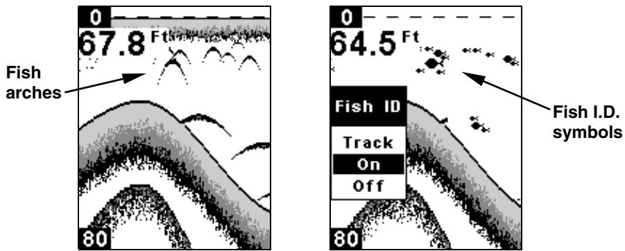 EAGLE CUDA 168 - FISH I.D. - 1