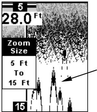 EAGLE CUDA 168 - NOTE: - 1