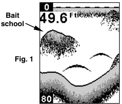 EAGLE CUDA 168EX - SENSITIVITY - 2