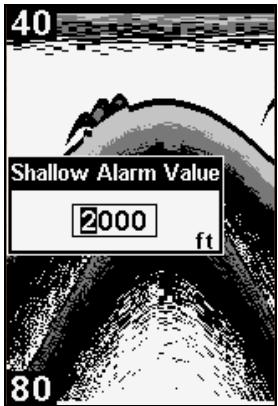 EAGLE CUDA 242 - Shallow Alarm - 1