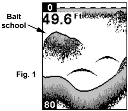 EAGLE CUDA 242 - To adjust sensitivity in Manual Mode: - 1