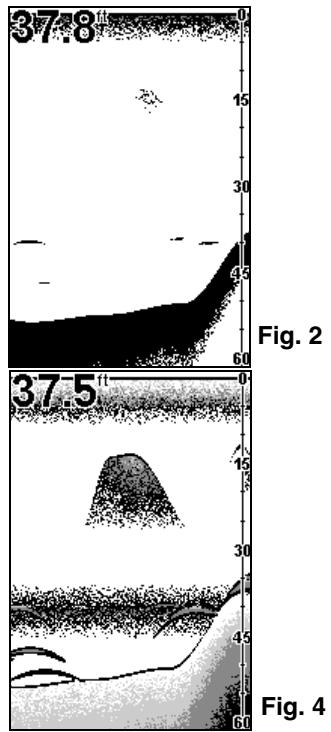 EAGLE FISHEASY 2 - SENSITIVITY - 2