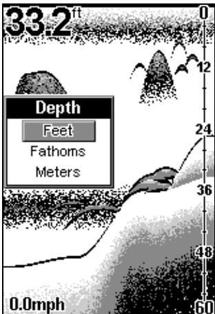 EAGLE FISHEASY 2 - DEPTH UNITS OF MEASURE - 1