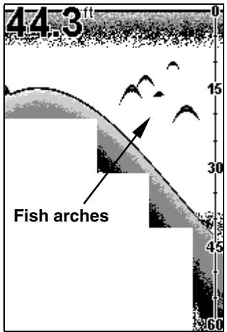EAGLE FISHEASY 2 - FISH I.D. - 1