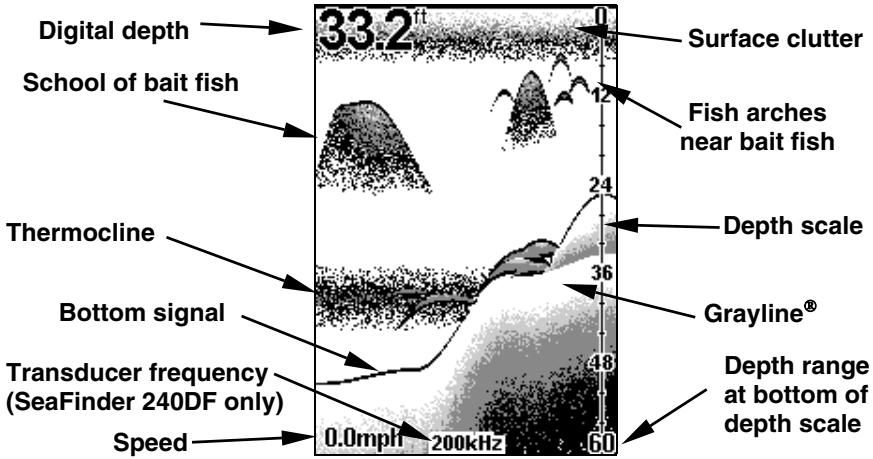 EAGLE FISHEASY 2 - DISPLAY - Opening Screen - 1
