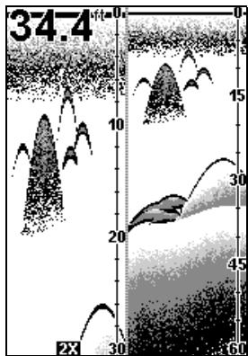 EAGLE FISHEASY 2 - SPLIT CHART - 1