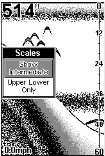 EAGLE FISHEASY 2 - SCALES - 1