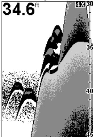 EAGLE FISHEASY 2 - Important Tip: - 2