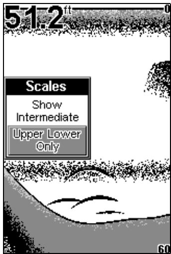 EAGLE FISHEASY 2 - SCALES - 2