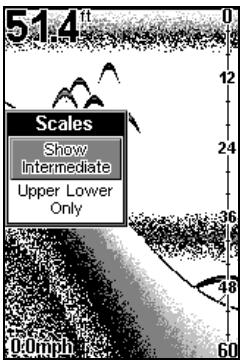 EAGLE FISHEASY 240 - Scales - 1
