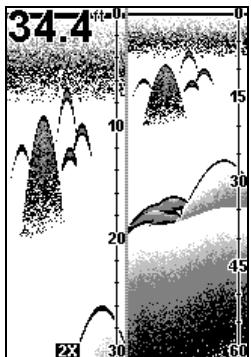 EAGLE FISHEASY 240 - Split Chart - 1