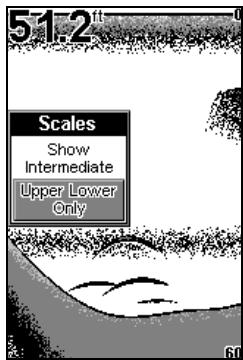 EAGLE FISHEASY 240 - Scales - 2