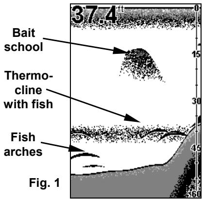 EAGLE FISHEASY 240 - Sensitivity - 1