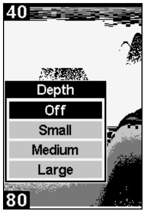 EAGLE FISHEASY 245DS PORTABLE - To display Depth: - 1